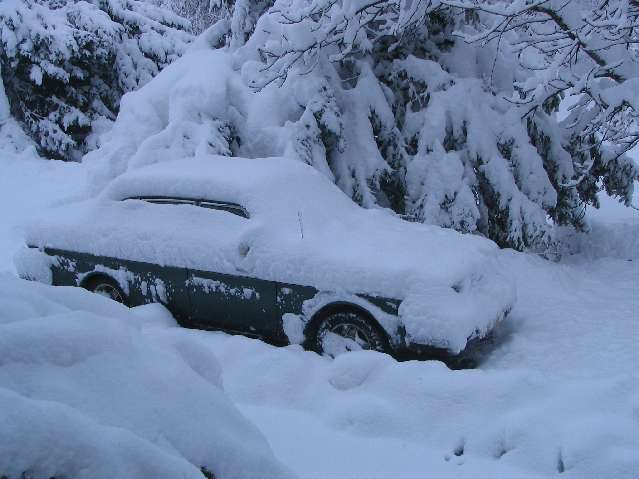 [Afbeelding: 051125SnowDE_013.jpg]