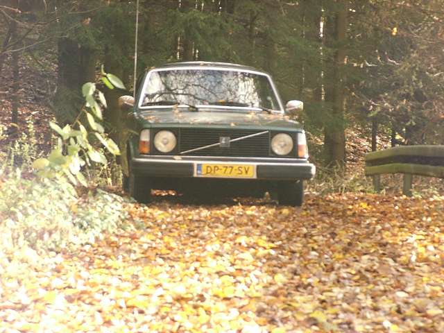 [Afbeelding: 11070001_G.jpg]